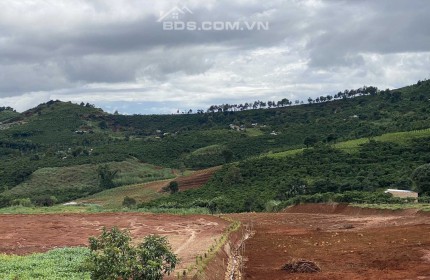 Hơn 1 sào ôm suối tự nhiên , đường betong 6m, chạy 5p tới chùa Linh Ẩn